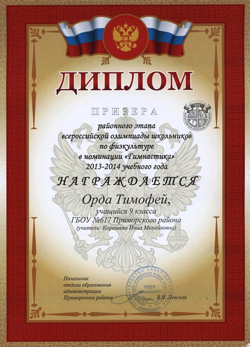 2013-2014 Орда Тимофей 9л (РО гимнастика)
